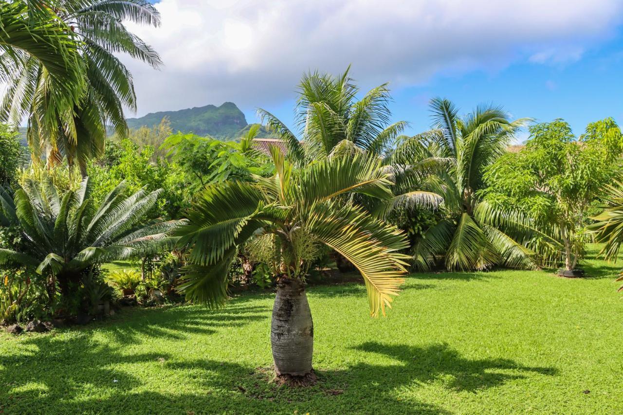 Bungalow Bali Hai Fare Eksteriør billede